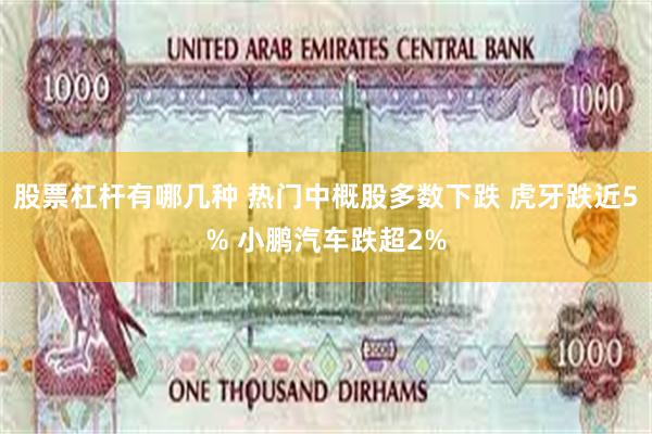 股票杠杆有哪几种 热门中概股多数下跌 虎牙跌近5% 小鹏汽车跌超2%