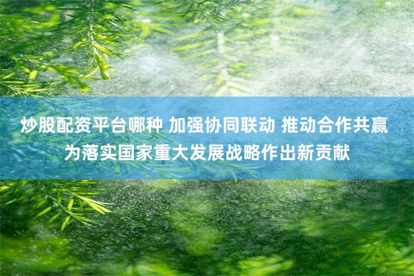 炒股配资平台哪种 加强协同联动 推动合作共赢 为落实国家重大发展战略作出新贡献
