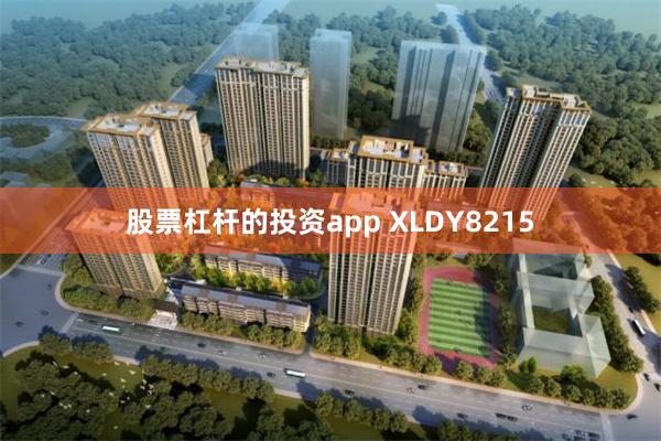 股票杠杆的投资app XLDY8215