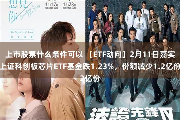 上市股票什么条件可以 【ETF动向】2月11日嘉实上证科创板芯片ETF基金跌1.23%，份额减少1.2亿份