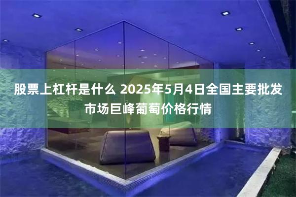 股票上杠杆是什么 2025年5月4日全国主要批发市场巨峰葡萄价格行情
