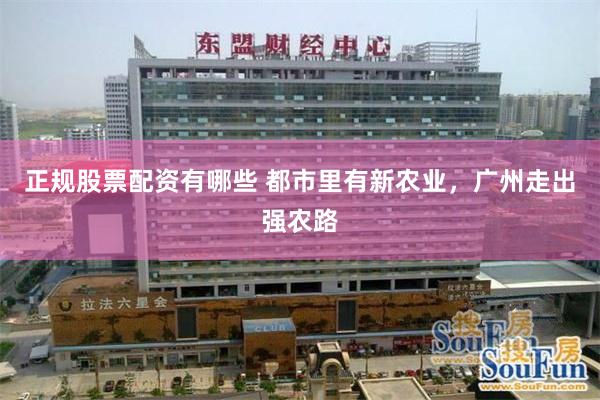 正规股票配资有哪些 都市里有新农业，广州走出强农路
