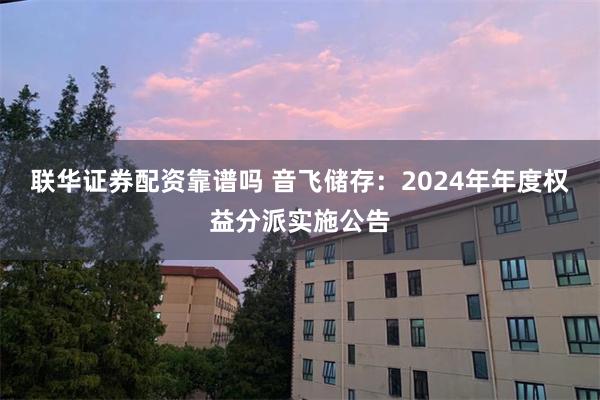 联华证券配资靠谱吗 音飞储存：2024年年度权益分派实施公告