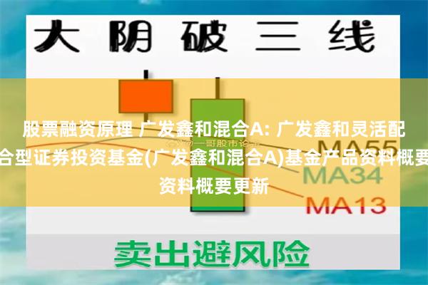 股票融资原理 广发鑫和混合A: 广发鑫和灵活配置混合型证券投资基金(广发鑫和混合A)基金产品资料概要更新
