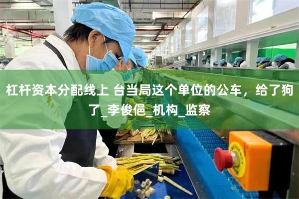 杠杆资本分配线上 台当局这个单位的公车，给了狗了_李俊俋_机构_监察