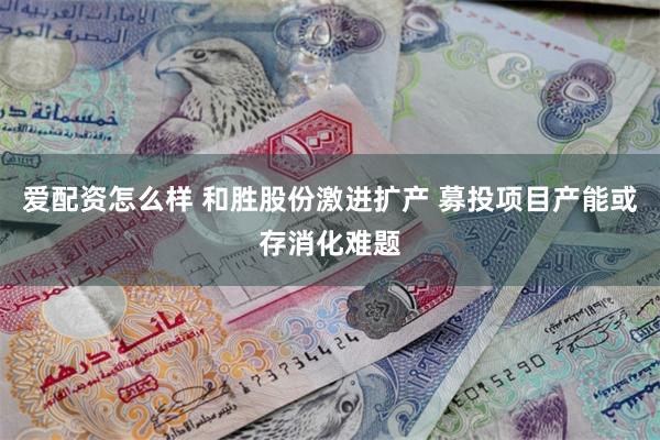 爱配资怎么样 和胜股份激进扩产 募投项目产能或存消化难题