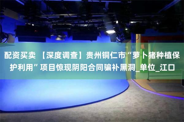 配资买卖 【深度调查】贵州铜仁市“萝卜猪种植保护利用”项目惊现阴阳合同骗补黑洞_单位_江口