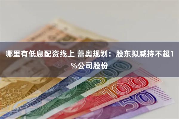 哪里有低息配资线上 蕾奥规划：股东拟减持不超1%公司股份
