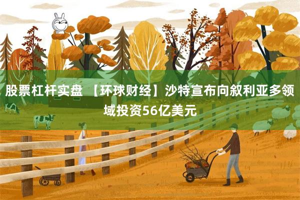 股票杠杆实盘 【环球财经】沙特宣布向叙利亚多领域投资56亿美元