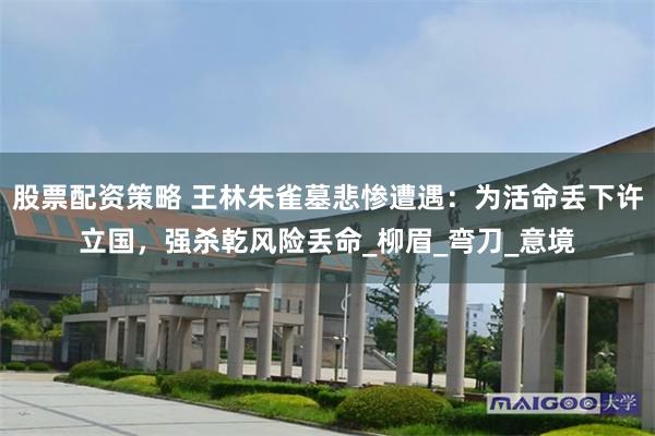股票配资策略 王林朱雀墓悲惨遭遇：为活命丢下许立国，强杀乾风险丢命_柳眉_弯刀_意境